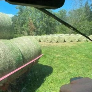 Alfalfa hay in Bales