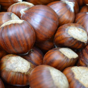 Chest nuts kennel raw fresh chestnuts