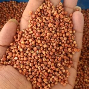 Natural Red & White Sorghum