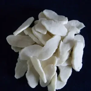 Chloroprene Rubber Cr244