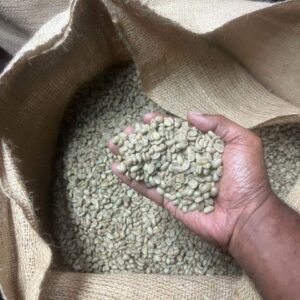 Arabic/Robusta Coffee