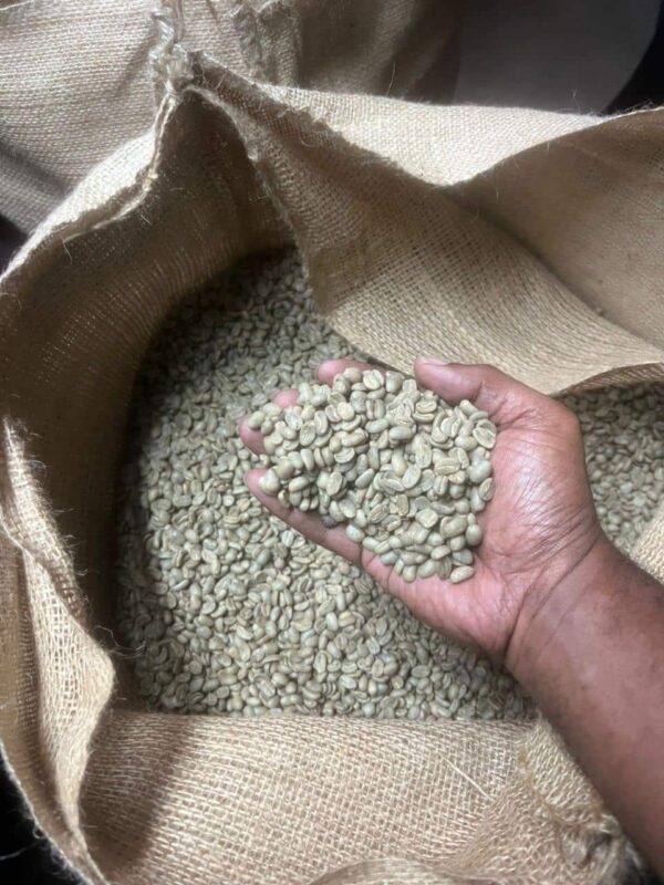 Arabic/Robusta Coffee