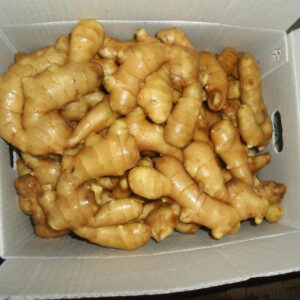Fresh Ginger