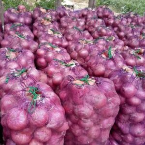 Fresh yellow and red onion