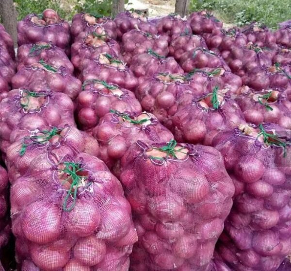 Fresh yellow and red onion