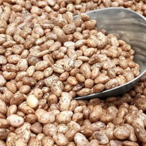 Pinto Kidney Beans