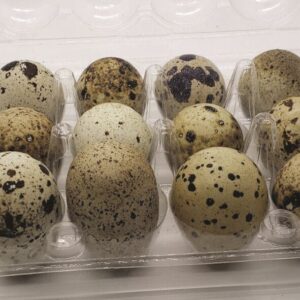 Quail Eggs, Fresh Table Eggs