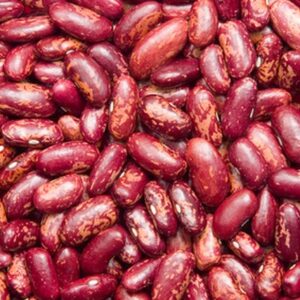 Red Kidney Beans
