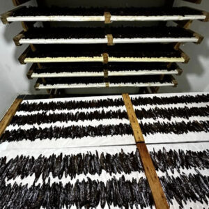 100% organic natural Wholesale vanilla beans