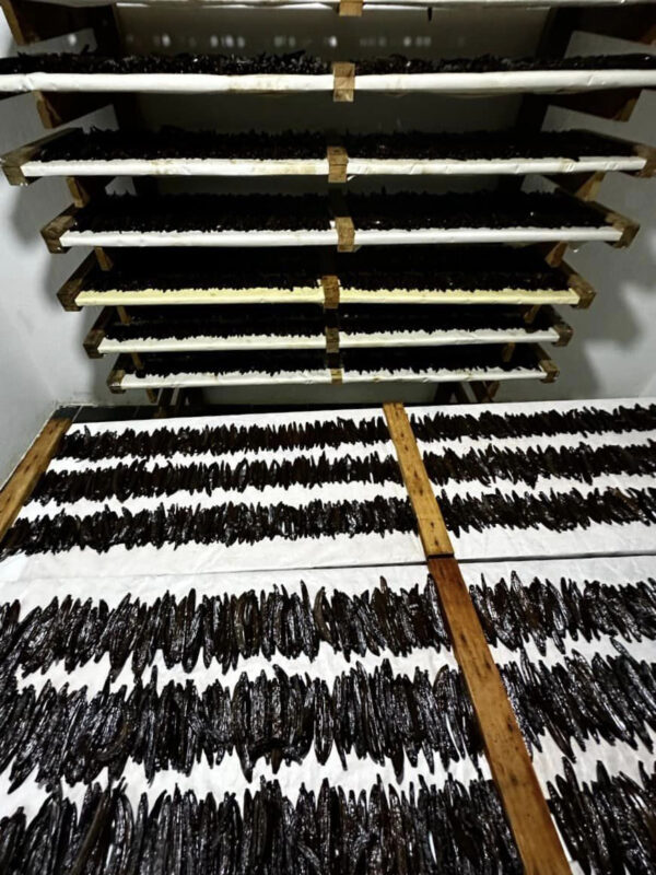 100% organic natural Wholesale vanilla beans