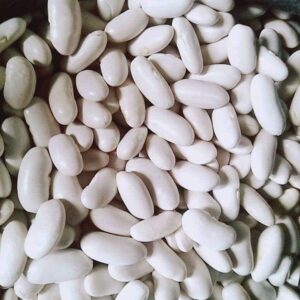 White Kidney Beans