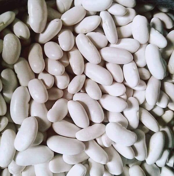 White Kidney Beans