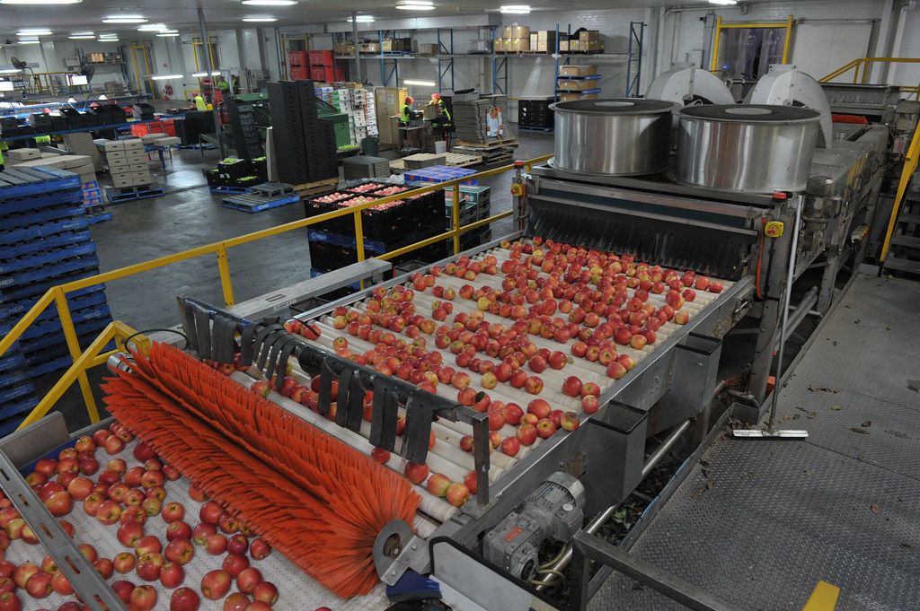 Agro-processing